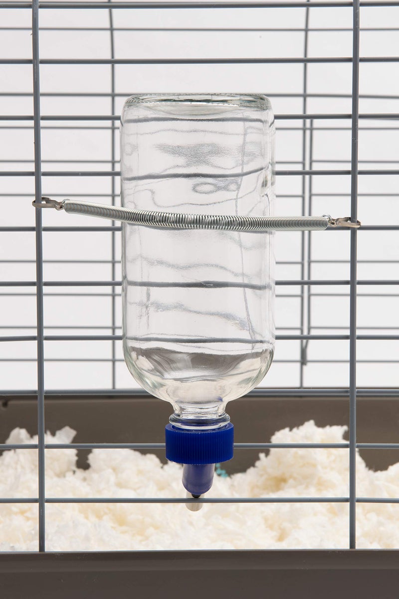 Lixit Glass Water Bottles for Rabbits, Ferrets, Small Birds, Guinea Pigs, Rats, Hamsters and Other Pets (16oz) - Image 1